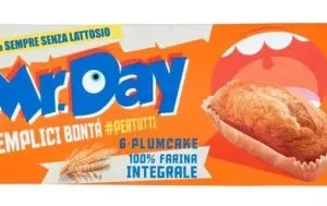 MISTER DAY PLUMCAKE INTEGRALI 190GR