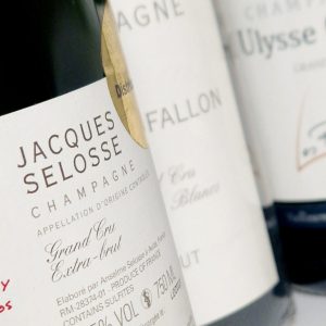 Selosse: Il maestro e i suoi allievi