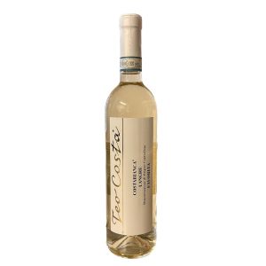 Langhe Favorita “Costabianca” 2025 Teo Costa