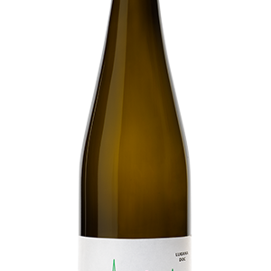 Capotesta Lugana Doc 2022 Cascina Maddalena