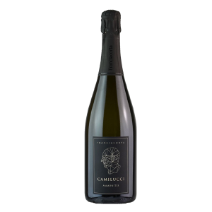Ammonites Brut Magnum Camillucci DOCG CAMILLUCCI