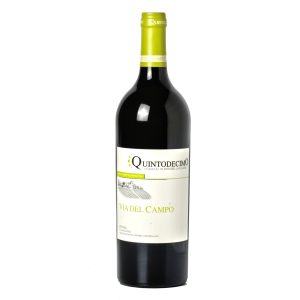 Quintodecimo Falanghina Via del Campo 2019