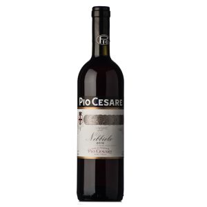 Nebbiolo Langhe DOC 2020 Pio Cesare