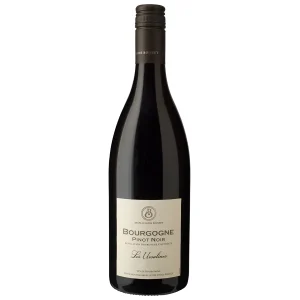Pinot Noir – Bourgogne